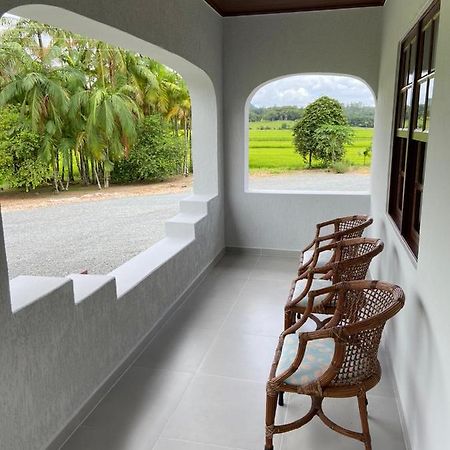 Villa Casa Colonial Em Rio Dos Cedros Exterior foto